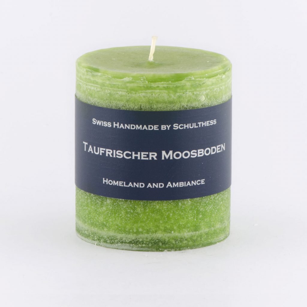 Taufrischer Moosboden